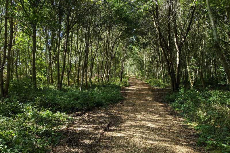 polehanger farm country walks health benefits of a walk