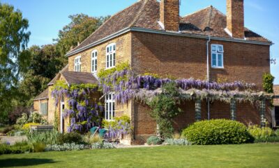 What’s happening at Polehanger Farm this Summer & Autumn