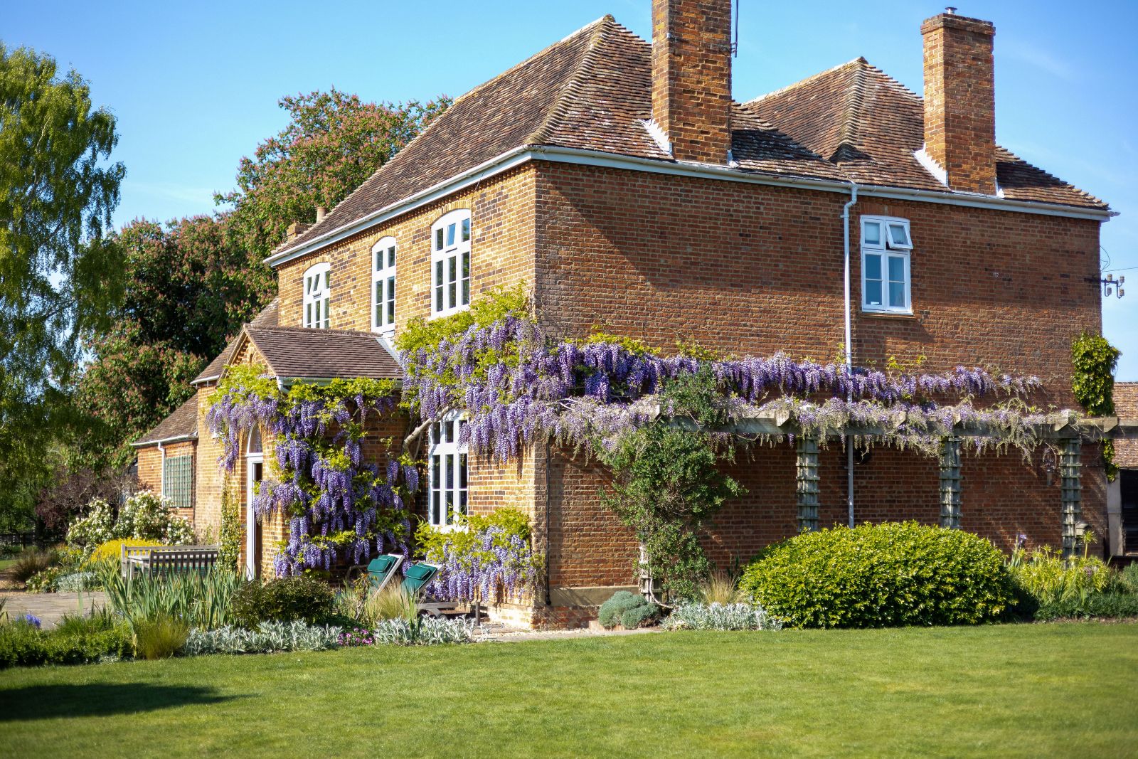 The Farmhouse at Polehanger surrounded by blooming wisteria in summer