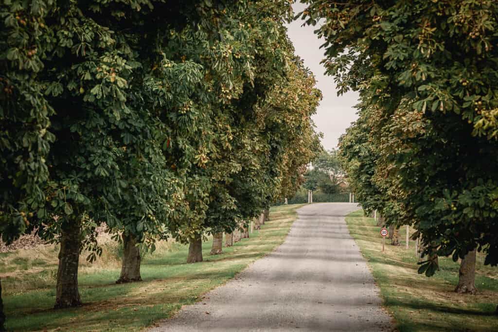Tree-lined driveway entrance to The Farmhouse at Polehanger, Bedfordshire